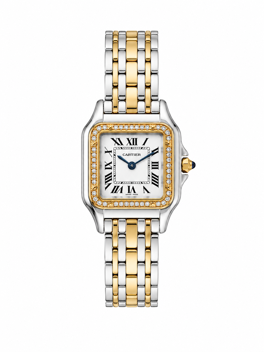Cartier Panthère Pierres