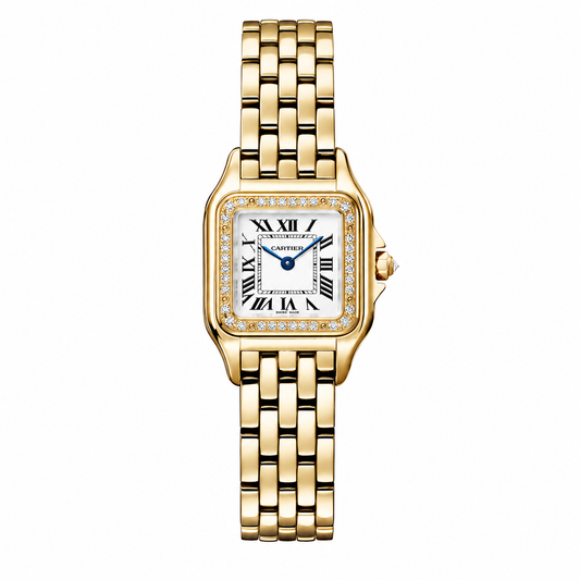 Cartier Panthère Pierres